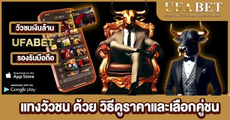 วัวชนออนไลน์ UFABET
