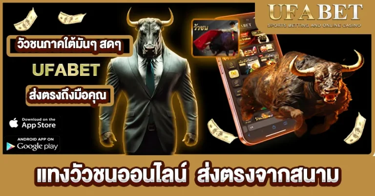 แทงวัวชนออนไลน์