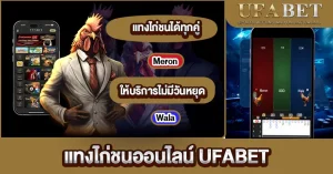 แทงไก่ชนออนไลน์