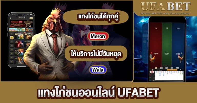 แทงไก่ชนออนไลน์